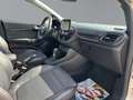 Ford Fiesta Vignale Automatik Winter-Paket Beige - thumbnail 12