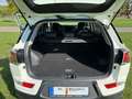 SsangYong Korando Korando E-Motion Platinum Weiß - thumbnail 9
