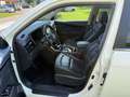 SsangYong Korando Korando E-Motion Platinum Weiß - thumbnail 7
