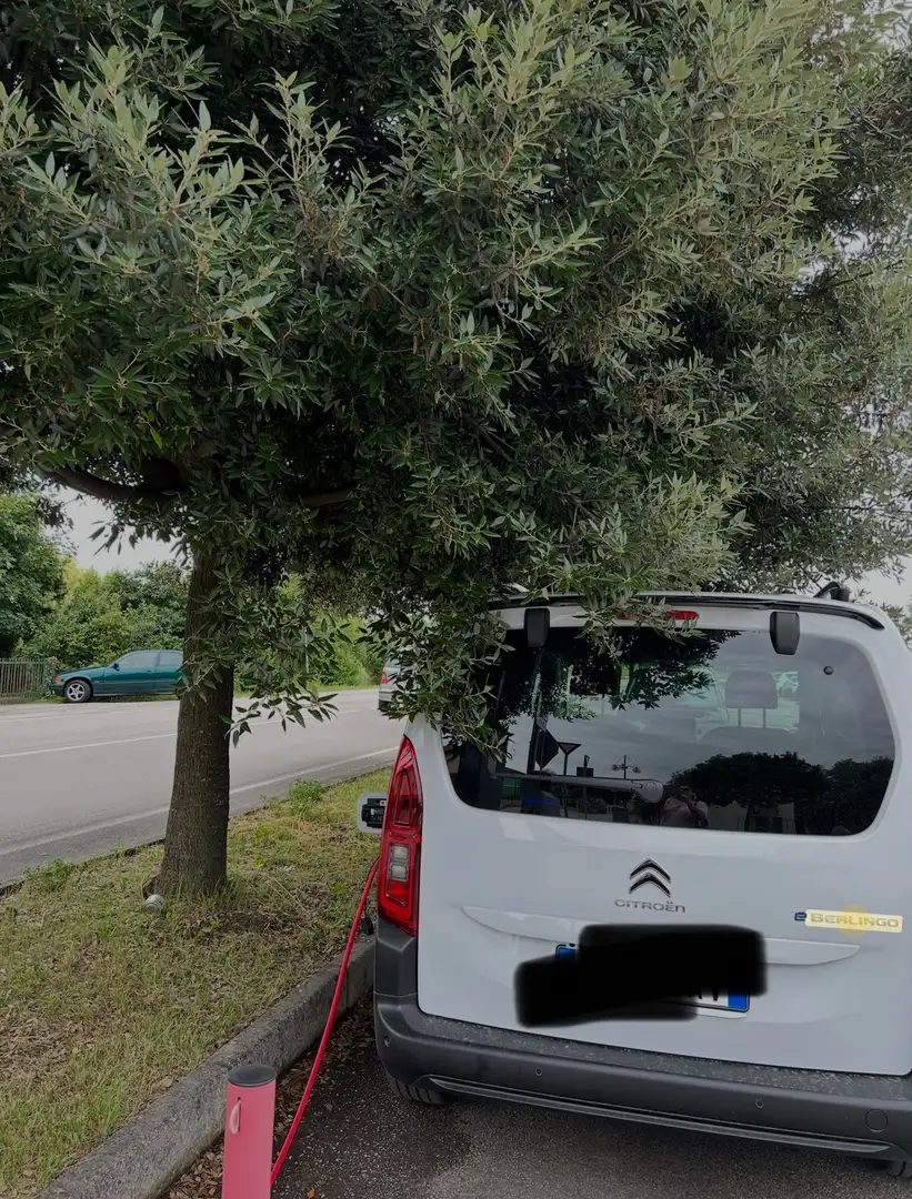 Citroen Berlingo e-Berlingo M Shine 50kw - 1