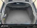 Mercedes-Benz E 200 d T TAXI UMBAU MÖGLICH+AVGD+DISTR+LED+KEYL Schwarz - thumbnail 13
