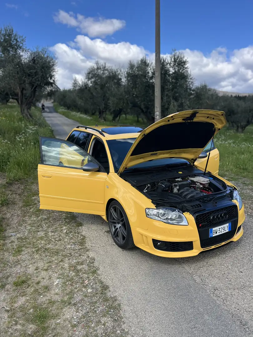 Audi RS4 Avant 4.2 V8 quattro giallo imola Жовтий - 2