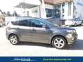 Ford Kuga 1.5 EcoBoost ST-Line 4x4 Start/Stopp 134 kW (18... Grau - thumbnail 6
