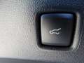 Ford Kuga Hybrid ST-Line X Allrad 182PS 20"/Schiebedach/AHK Gris - thumbnail 11