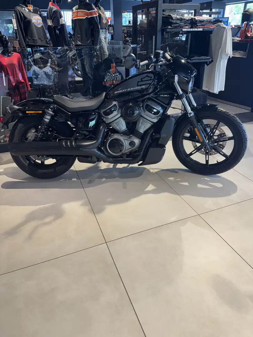 Harley-Davidson Sportster nightster 975 - 2
