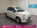 Fiat 500 1.0 Mild Hybrid  Cult|DAB+|Klima Weiß - thumbnail 1