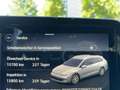 Volkswagen Golf Variant Golf VIII Variant 2.0 TDI Life DSG Navi LED Weiß - thumbnail 16