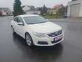 Volkswagen Passat CC Basis Blanc - thumbnail 2