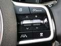 Kia Sorento 1.6 T-GDI Plug-in Hybrid 4WD ExecutiveLine 7p. | T Grijs - thumbnail 31