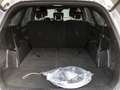 Kia Sorento 1.6 T-GDI Plug-in Hybrid 4WD ExecutiveLine 7p. | T Grijs - thumbnail 22