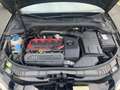 Audi A3 SB RS3 2,5 TFSI quattro S-tronic Pickerl nue bi... Noir - thumbnail 29