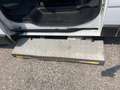 Renault Trafic DCI - TRASPORTO DISABILI Bianco - thumbnail 9