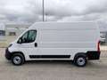 Fiat Ducato 33 2.2 Mjt 120CV PM-TM Furgone NUOVO MODELLO Bianco - thumbnail 8