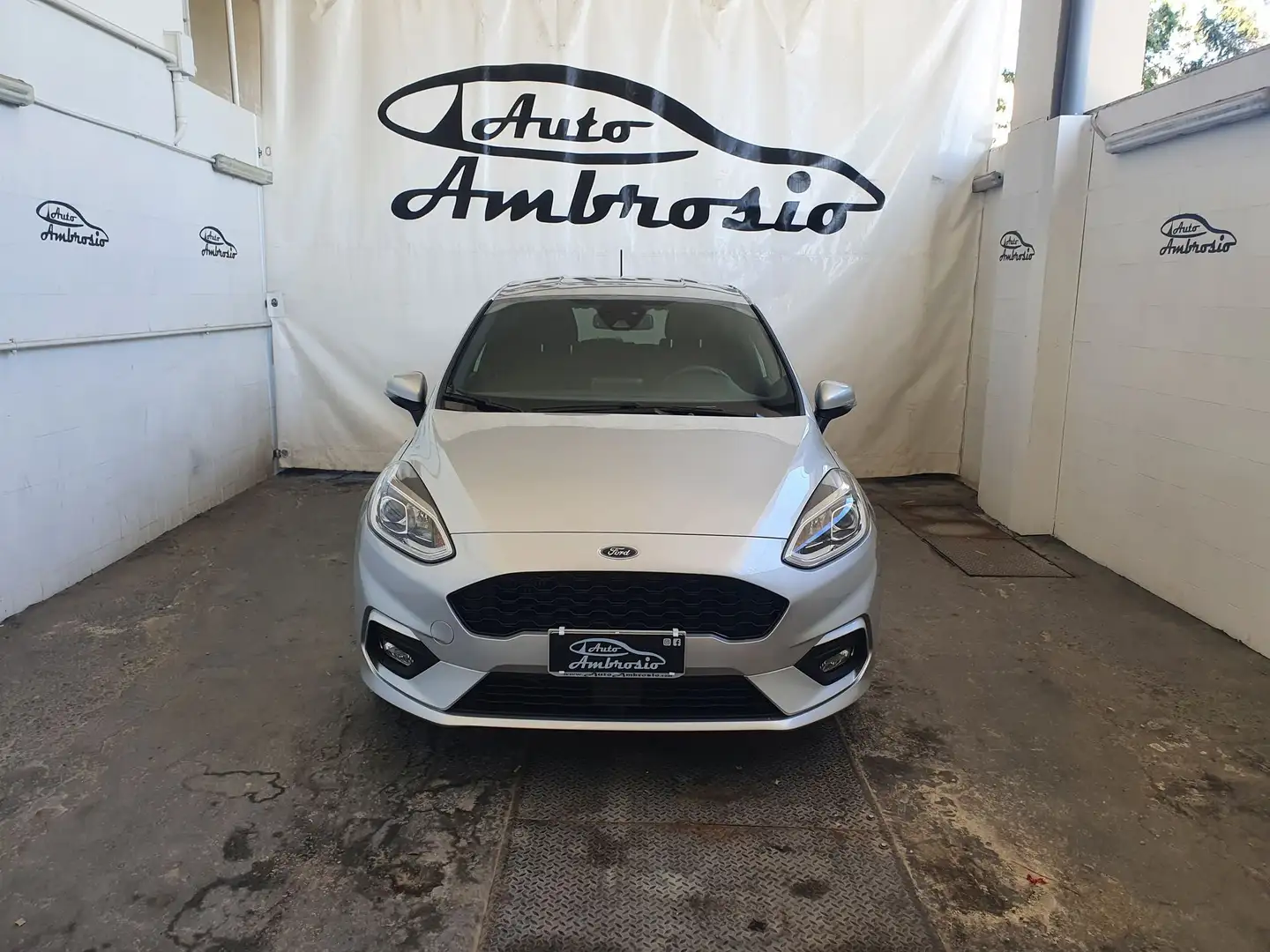 Ford Fiesta 1.5 EcoBlue 5 porte ST-Line TUA 148,00 MESE Grigio - 2