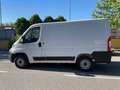 Fiat Ducato 2300 TD passo corto tetto basso Bianco - thumbnail 2