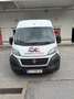 Fiat Ducato 150 L5H2 RS: 4035 mm Weiß - thumbnail 1
