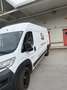 Fiat Ducato 150 L5H2 RS: 4035 mm Weiß - thumbnail 4
