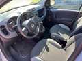 Fiat Panda Panda III 2021 1.0 firefly hybrid s Grigio - thumbnail 5
