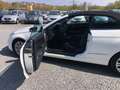 Mercedes-Benz E 350 CDI Cabriolet BlueEFF. ELEGANCE*Voll*2.Hand* Weiß - thumbnail 22