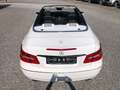 Mercedes-Benz E 350 CDI Cabriolet BlueEFF. ELEGANCE*Voll*2.Hand* Weiß - thumbnail 10