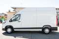 Maxus Deliver9   2.0CRDI 150CV AWD PL-TM Furgone Blanc - thumbnail 8