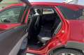 Mazda CX-3 CX-3 2.0L Skyactiv-G Exceed Rosso - thumbnail 10