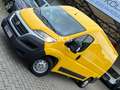 Fiat Ducato 33 130 L2H2,Klima,Navi,PDC,Kamera,Gelb Gelb - thumbnail 1