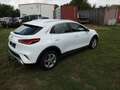 Kia XCeed Vision Alb - thumbnail 4