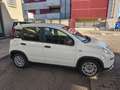 Fiat Panda 1.0 M/hybrid 70cv Nessun obbligo finanziamento Bianco - thumbnail 3