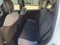 Fiat Panda 1.0 M/hybrid 70cv Nessun obbligo finanziamento Bianco - thumbnail 12