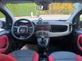 Fiat Panda 1.2 Lounge Gpl 69cv E6 UNICO PROPRIETARIO Rot - thumbnail 15