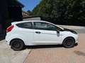Ford Fiesta Ambiente 2.Hand 8-Fach Euro 5 Weiß - thumbnail 4