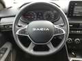 Dacia Sandero Stepway 100 ECO-G LPG Extreme Navi+LED+Klimaauto Grün - thumbnail 12