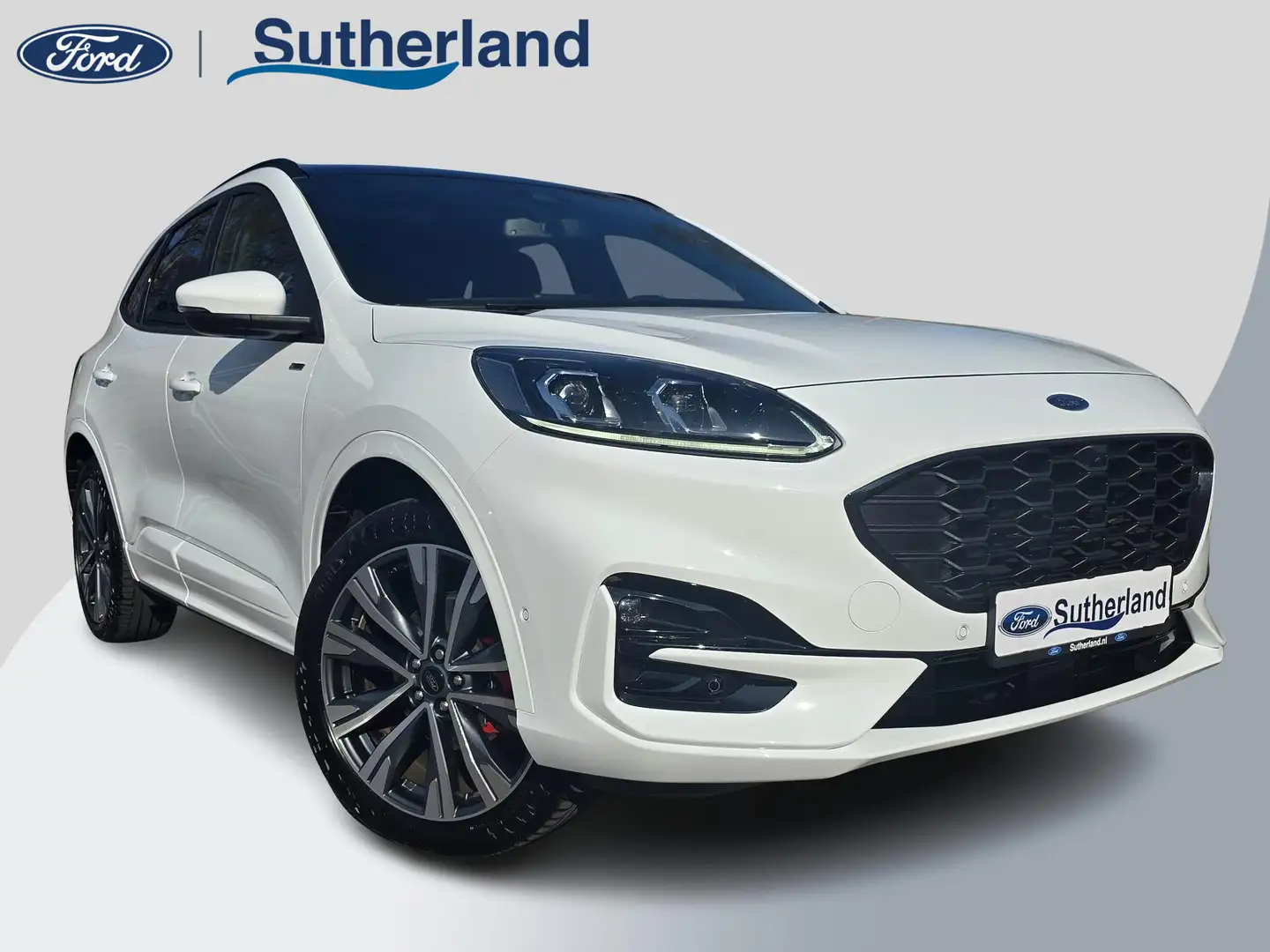 Ford Kuga 2.5 PHEV ST-Line X 225pk | Panoramadak | 20 inch m Biały - 1