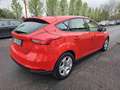Ford Focus 1.0 EcoBoost 100 CV Start&Stop Plus Rosso - thumbnail 5
