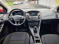 Ford Focus 1.0 EcoBoost 100 CV Start&Stop Plus Rosso - thumbnail 12