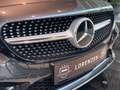 Mercedes-Benz C 300 C300 Cabrio AMG Airscarf BUR LED Leder 19" AHK Grijs - thumbnail 5