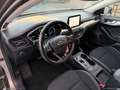 Ford Focus 1.5 E.Blue 120CV aut- 5p. Bs Co-P. Beige - thumbnail 9