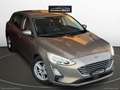 Ford Focus 1.5 E.Blue 120CV aut- 5p. Bs Co-P. Beige - thumbnail 3