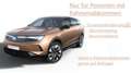 Opel Grandland Electric GS 73kWh **Elektrohammer** Gold - thumbnail 2