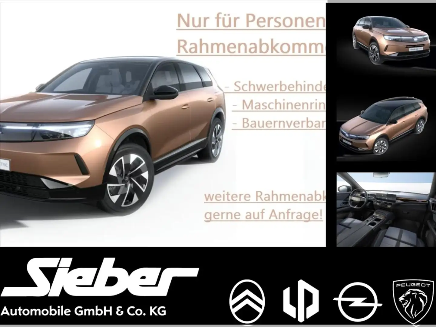 Opel Grandland Electric GS 73kWh **Elektrohammer** Gold - 1