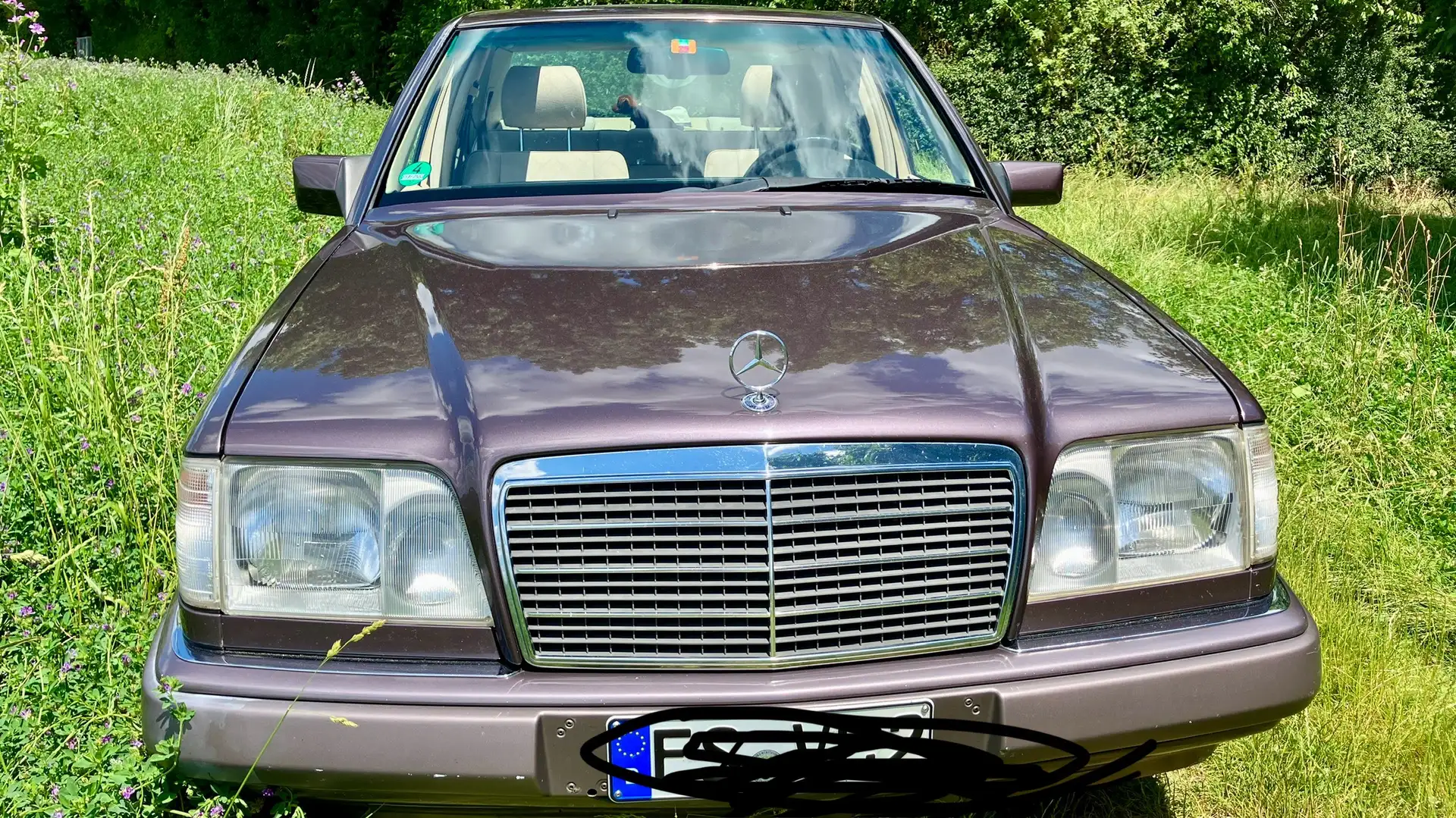 Mercedes-Benz E 220 Automatik Schiebedach - 2