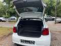 Volkswagen Polo 1.4 TSI Blue GT Sitzheizung,PDC,Klima Weiß - thumbnail 15