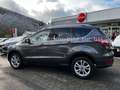 Ford Kuga 1,5 EcoBoost 4x2 Titanium *NAV*SHZ*BI-XENON Grau - thumbnail 6