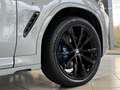 BMW X4 xDrive 30 d M Sport+Head-Up+Standheizung+AHK Gris - thumbnail 45