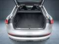 Audi e-tron Matrix/B&O/22/Pano/S-Sitz/ACC Silber - thumbnail 14