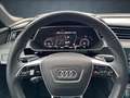Audi e-tron Matrix/B&O/22/Pano/S-Sitz/ACC Silber - thumbnail 27