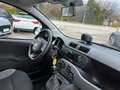 Fiat Panda Panda III 2021 1.0 firefly hybrid City Life s Grijs - thumbnail 11