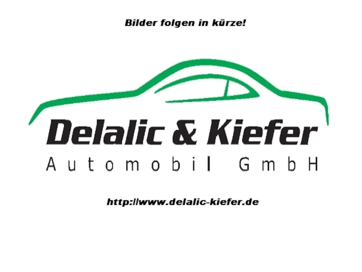 Skoda Fabia 1,0l TSI Active Klima Blauw - 1