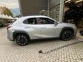 Lexus UX 200 UX 2019 250h 2.0 F-Sport 2wd cvt my20 Argento - thumbnail 12
